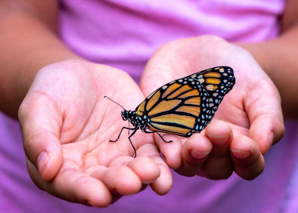 Ma annan oma südame vabaks
