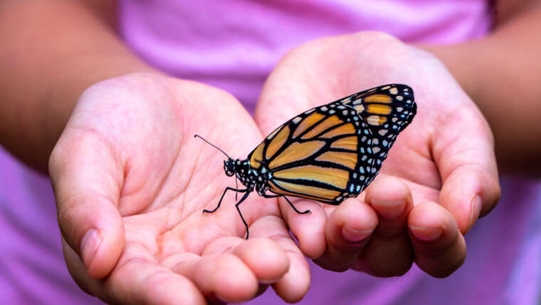 Ma annan oma südame vabaks
